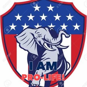 Meet your Posher, Ethan